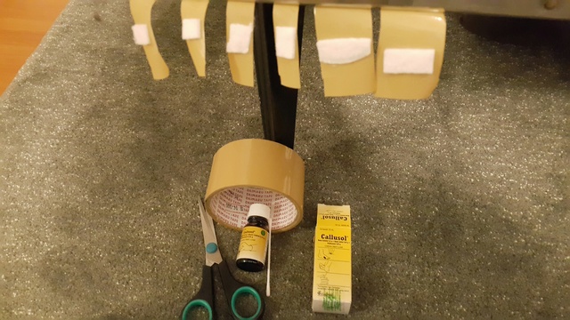 20150724_024534_resized_1